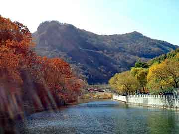 新澳天天开奖资料大全旅游团，运动娱乐